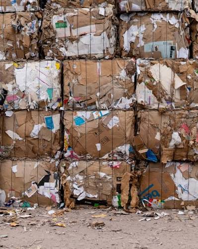 Paper bales sorting