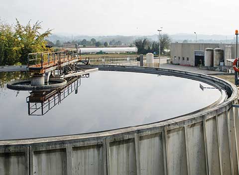 Paper pulp treatment pool